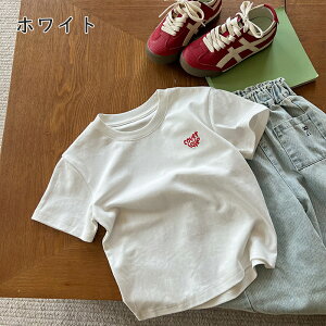 q Vv  T Vc TVc N[lbN gC߂ z n[g hJ LbY ̎q TVc | LbY xr[ ĕ vgtVc LbYtVc gbv J[RgX