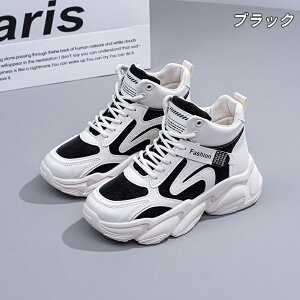 Xj[J[ nCJbgXj[J[ fB[X C ₷  rr ȂV[Y lC  {[\[ Xj[J[ s d ₷ ʊw V[Y