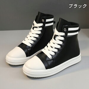 Xj[J[ nCJbgXj[J[ fB[X C ₷  rr ȂV[Y lC  {[\[ Xj[J[ s d ₷ ʊw V[Y