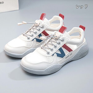 Xj[J[ fB[X Xj[J[ jO EH[LO bV ʋC C h\[ V[Y X|[c U ʋ  lC ɂ  d ₷