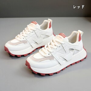 Xj[J[ fB[X Xj[J[ jO EH[LO bV ʋC C h\[ V[Y X|[c U ʋ  lC ɂ  d ₷