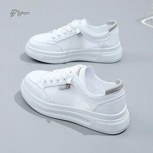 Xj[J[ fB[X Xj[J[ jO EH[LO bV ʋC C h\[ V[Y X|[c U ʋ  lC ɂ  d ₷