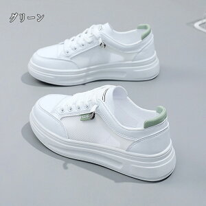 Xj[J[ fB[X Xj[J[ jO EH[LO bV ʋC C h\[ V[Y X|[c U ʋ  lC ɂ  d ₷