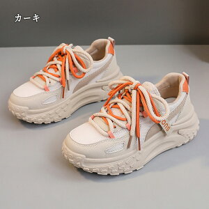 Xj[J[ fB[X Xj[J[ jO EH[LO bV ʋC C h\[ V[Y X|[c U ʋ  lC ɂ  d ₷