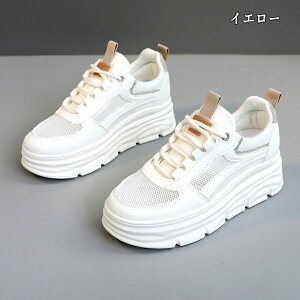 Cq[Xj[J[ Xj[J[ fB[X Xj[J[ jO EH[LO bV ʋC C h\[ V[Y X|[c U ʋ  lC ɂ  d 