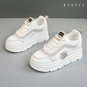 Cq[Xj[J[ Xj[J[ fB[X Xj[J[ jO EH[LO bV ʋC C h\[ V[Y X|[c U ʋ  lC ɂ  d 