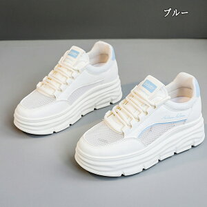 Cq[Xj[J[ Xj[J[ fB[X Xj[J[ jO EH[LO bV ʋC C h\[ V[Y X|[c U ʋ  lC ɂ  d 