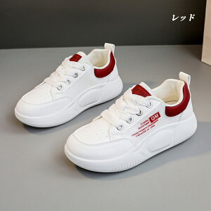 Xj[J[ fB[X Xj[J[ jO EH[LO bV ʋC C h\[ V[Y X|[c U ʋ  lC ɂ  d ₷