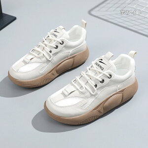 Xj[J[ fB[X Xj[J[ jO EH[LO bV ʋC C h\[ V[Y X|[c U ʋ  lC ɂ  d ₷