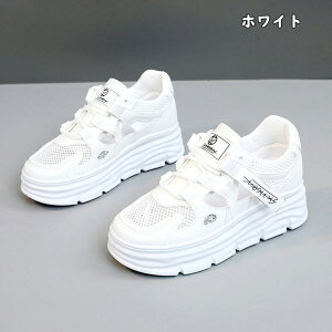 Xj[J[ fB[X Xj[J[ jO EH[LO bV ʋC C h\[ V[Y X|[c U ʋ  lC ɂ  d ₷