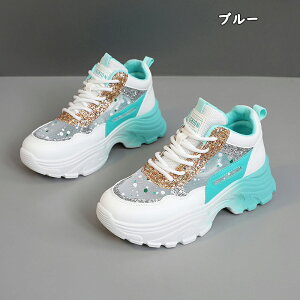 Xj[J[ fB[X Xj[J[ jO EH[LO bV ʋC C h\[ V[Y X|[c U ʋ  lC ɂ  d ₷