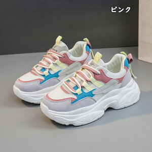 Xj[J[ fB[X Xj[J[ jO EH[LO bV ʋC C h\[ V[Y X|[c U ʋ  lC ɂ  d ₷