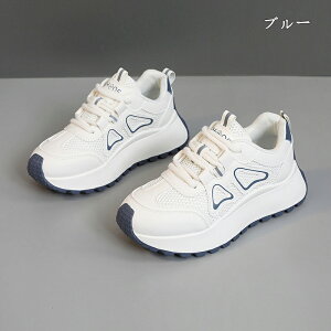 Xj[J[ fB[X Xj[J[ jO EH[LO bV ʋC C h\[ V[Y X|[c U ʋ  lC ɂ  d ₷