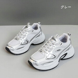 Xj[J[ fB[X Xj[J[ jO EH[LO bV ʋC C h\[ V[Y X|[c U ʋ  lC ɂ  d ₷