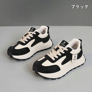  Xj[J[ fB[X lC [ gAbv  r ₷ Ȃ C fB[XV[Y V[Y y EH[LOV[Y ubN zCg ʋ ʊw ̈ 