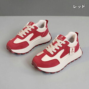  Xj[J[ fB[X lC [ gAbv  r ₷ Ȃ C fB[XV[Y V[Y y EH[LOV[Y ubN zCg ʋ ʊw ̈ 