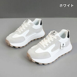  Xj[J[ fB[X lC [ gAbv  r ₷ Ȃ C fB[XV[Y V[Y y EH[LOV[Y ubN zCg ʋ ʊw ̈ 