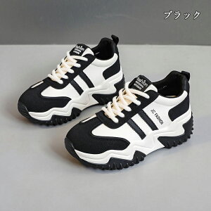  Xj[J[ fB[X lC [ gAbv  r ₷ Ȃ C fB[XV[Y V[Y y EH[LOV[Y ubN zCg ʋ ʊw ̈ 