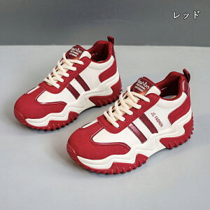  Xj[J[ fB[X lC [ gAbv  r ₷ Ȃ C fB[XV[Y V[Y y EH[LOV[Y ubN zCg ʋ ʊw ̈ 