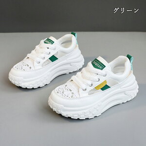  Xj[J[ fB[X lC [ gAbv  r ₷ Ȃ C fB[XV[Y V[Y y EH[LOV[Y ubN zCg ʋ ʊw ̈ 