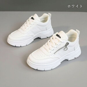  Xj[J[ fB[X lC [ gAbv  r ₷ Ȃ C fB[XV[Y V[Y y EH[LOV[Y ubN zCg ʋ ʊw ̈ 