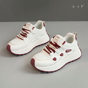  Xj[J[ fB[X lC [ gAbv  r ₷ Ȃ C fB[XV[Y V[Y y EH[LOV[Y ubN zCg ʋ ʊw ̈ 