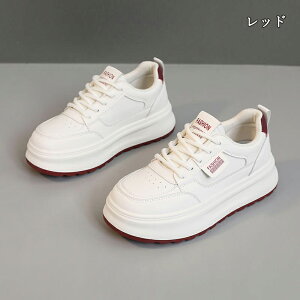  Xj[J[ fB[X lC [ gAbv  r ₷ Ȃ C fB[XV[Y V[Y y EH[LOV[Y ubN zCg ʋ ʊw ̈ 