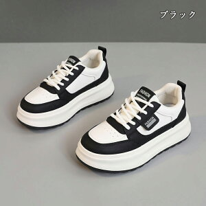  Xj[J[ fB[X lC [ gAbv  r ₷ Ȃ C fB[XV[Y V[Y y EH[LOV[Y ubN zCg ʋ ʊw ̈ 