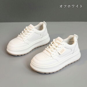  Xj[J[ fB[X lC [ gAbv  r ₷ Ȃ C fB[XV[Y V[Y y EH[LOV[Y ubN zCg ʋ ʊw ̈ 