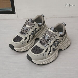  Xj[J[ fB[X lC [ gAbv  r ₷ Ȃ C fB[XV[Y V[Y y EH[LOV[Y ubN zCg ʋ ʊw ̈ 