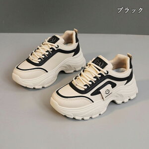  Xj[J[ fB[X lC [ gAbv  r ₷ Ȃ C fB[XV[Y V[Y y EH[LOV[Y ubN zCg ʋ ʊw ̈ 