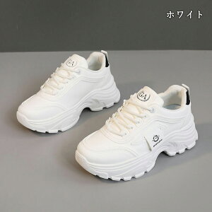  Xj[J[ fB[X lC [ gAbv  r ₷ Ȃ C fB[XV[Y V[Y y EH[LOV[Y ubN zCg ʋ ʊw ̈ 