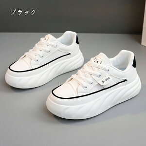  Xj[J[ fB[X lC [ gAbv  r ₷ Ȃ C fB[XV[Y V[Y y EH[LOV[Y ubN zCg ʋ ʊw ̈ 