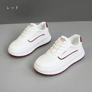  Xj[J[ fB[X lC [ gAbv  r ₷ Ȃ C fB[XV[Y V[Y y EH[LOV[Y ubN zCg ʋ ʊw ̈ 