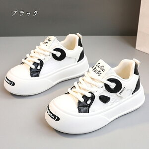  Xj[J[ fB[X lC [ gAbv  r ₷ Ȃ C fB[XV[Y V[Y y EH[LOV[Y ubN zCg ʋ ʊw ̈ 