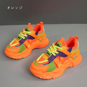  Xj[J[ fB[X lC [ gAbv  r ₷ Ȃ C fB[XV[Y V[Y y EH[LOV[Y ubN zCg ʋ ʊw ̈ 