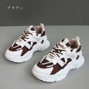  Xj[J[ fB[X lC [ gAbv  r ₷ Ȃ C fB[XV[Y V[Y y EH[LOV[Y ubN zCg ʋ ʊw ̈ 