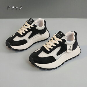  Xj[J[ fB[X lC [ gAbv  r ₷ Ȃ C fB[XV[Y V[Y y EH[LOV[Y ubN zCg ʋ ʊw ̈ 