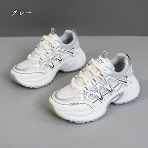  Xj[J[ fB[X lC [ gAbv  r ₷ Ȃ C fB[XV[Y V[Y y EH[LOV[Y ubN zCg ʋ ʊw ̈ 