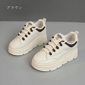  Xj[J[ fB[X lC [ gAbv  r ₷ Ȃ C fB[XV[Y V[Y y EH[LOV[Y ubN zCg ʋ ʊw ̈ 