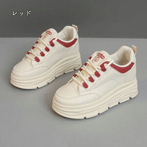  Xj[J[ fB[X lC [ gAbv  r ₷ Ȃ C fB[XV[Y V[Y y EH[LOV[Y ubN zCg ʋ ʊw ̈ 