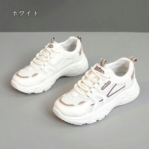  Xj[J[ fB[X lC [ gAbv  r ₷ Ȃ C fB[XV[Y V[Y y EH[LOV[Y ubN zCg ʋ ʊw ̈ 