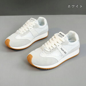  Xj[J[ fB[X lC [ gAbv  r ₷ Ȃ C fB[XV[Y V[Y EH[LOV[Y ubN zCg ʋ ʊw ̈ 