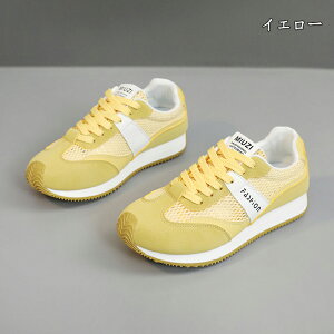  Xj[J[ fB[X lC [ gAbv  r ₷ Ȃ C fB[XV[Y V[Y EH[LOV[Y ubN zCg ʋ ʊw ̈ 