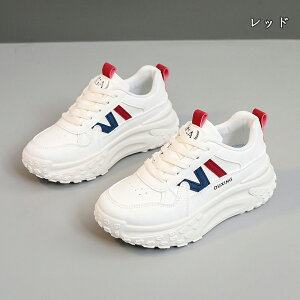  Xj[J[ fB[X lC [ gAbv  r ₷ Ȃ C fB[XV[Y V[Y EH[LOV[Y ubN zCg ʋ ʊw ̈ 