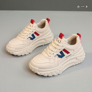  Xj[J[ fB[X lC [ gAbv  r ₷ Ȃ C fB[XV[Y V[Y EH[LOV[Y ubN zCg ʋ ʊw ̈ 