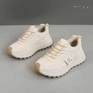  Xj[J[ fB[X lC [ gAbv  r ₷ Ȃ C fB[XV[Y V[Y EH[LOV[Y ubN zCg ʋ ʊw ̈ 