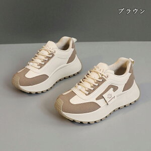  Xj[J[ fB[X lC [ gAbv  r ₷ Ȃ C fB[XV[Y V[Y EH[LOV[Y ubN zCg ʋ ʊw ̈ 