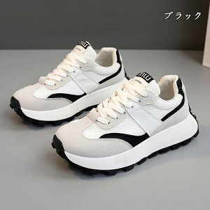  Xj[J[ fB[X lC [ gAbv  r ₷ Ȃ C fB[XV[Y V[Y EH[LOV[Y ubN zCg ʋ ʊw ̈ 