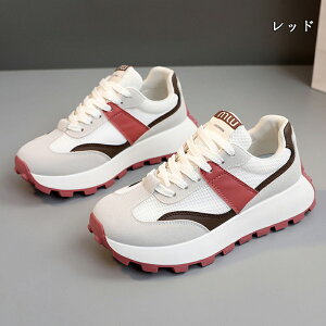  Xj[J[ fB[X lC [ gAbv  r ₷ Ȃ C fB[XV[Y V[Y EH[LOV[Y ubN zCg ʋ ʊw ̈ 